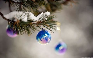 Ornaments hanging from tree branch dusted with snow